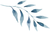 dlf.pt watercolor leaf png 2270838 Contact 1