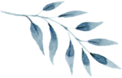 dlf.pt watercolor leaf png 2270838 Contactus